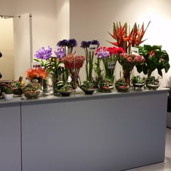 Blumen Grün Punkt