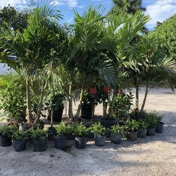 All About Gardens Nursery