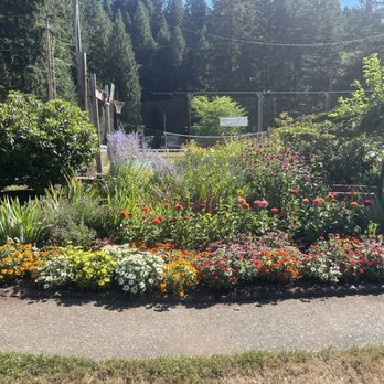 Mountaindale Sun Resort - Resorts Near Me - North Plains, Oregon Mountaindale Sun Resort - Resorts Near Me - North Plains, Oregon