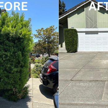 VERA Construction & Landscaping - Landscaping Near Me - Fairfield, California VERA Construction & Landscaping - Landscaping Near Me - Fairfield, California