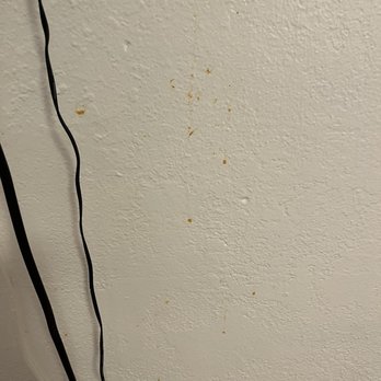 Safari Motor Inn - Who knows what is dripping down this wall? - Hotels Near Me - Joshua Tree, California