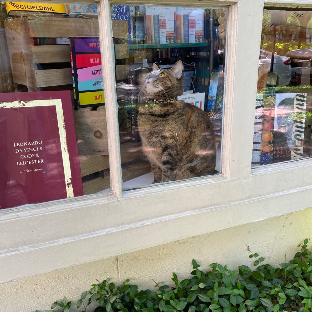 The Book Lady Bookstore - Ewww that squirrel!!! - Bookstores Near Me - Savannah, Georgia
