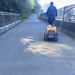 E-Bike with dog trailer.