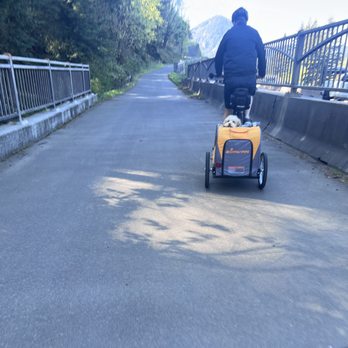 Bike the Gorge - E-Bike with dog trailer. - Bike Rentals Near Me - Cascade Locks, Oregon Bike the Gorge - E-Bike with dog trailer. - Bike Rentals Near Me - Cascade Locks, Oregon