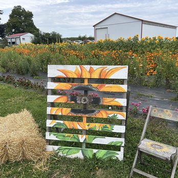 Schutt's Apple Mill - Fruits & Veggies Near Me - Webster, New York