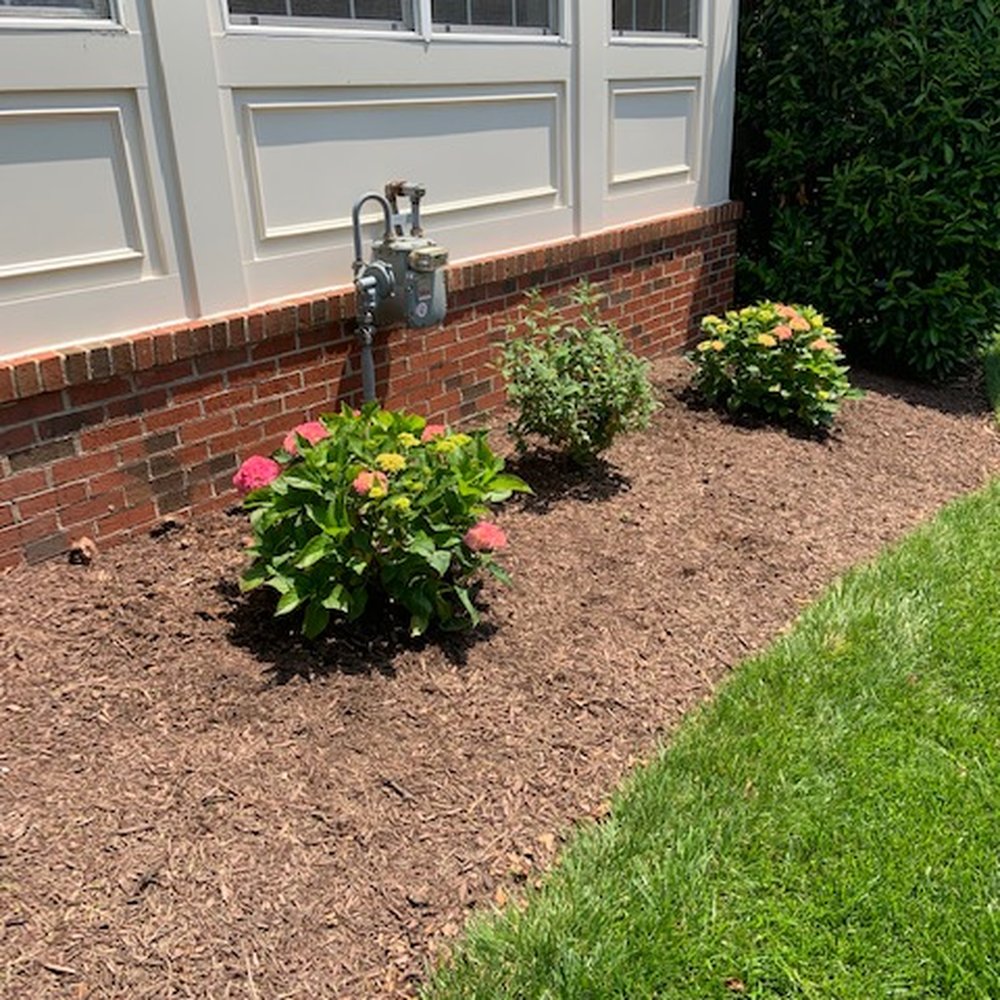 Cassella Design & Build - Side after new plants. - Landscaping Near Me - Springfield, Virginia Cassella Design & Build - Side after new plants. - Landscaping Near Me - Springfield, Virginia