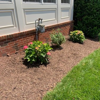 Cassella Design & Build - Side after new plants. - Landscaping Near Me - Springfield, Virginia Cassella Design & Build - Side after new plants. - Landscaping Near Me - Springfield, Virginia