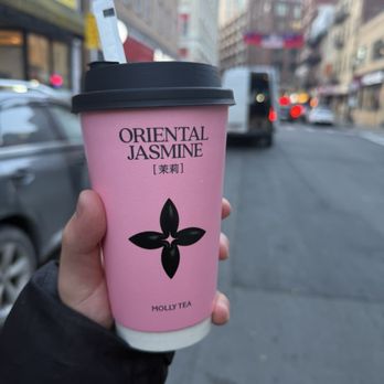 Molly Tea - Bubble Tea Near Me - Boston, Massachusetts