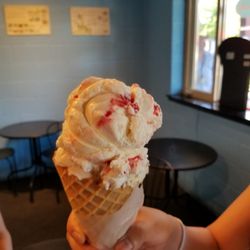 Hamilton Waterfront Scoops - Regular sized waffle cone! ( 2 scoops= 2 flavours !)