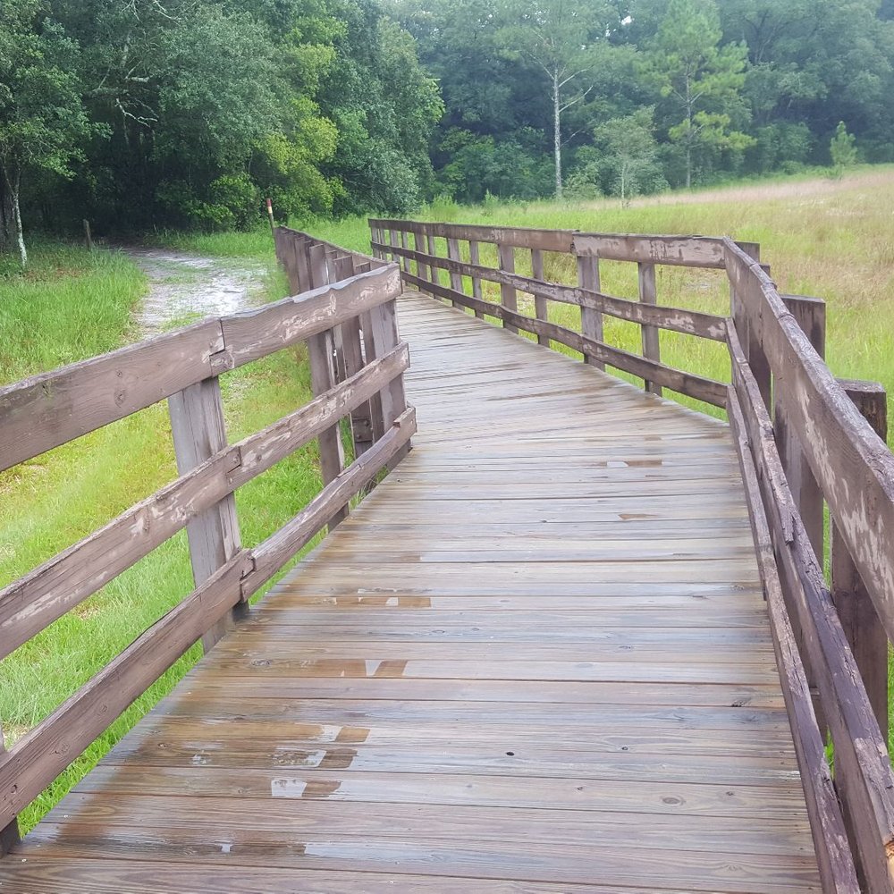 Withlacoochee River Park - Boardwalk - Parks Near Me - Dade City, Florida Withlacoochee River Park - Boardwalk - Parks Near Me - Dade City, Florida