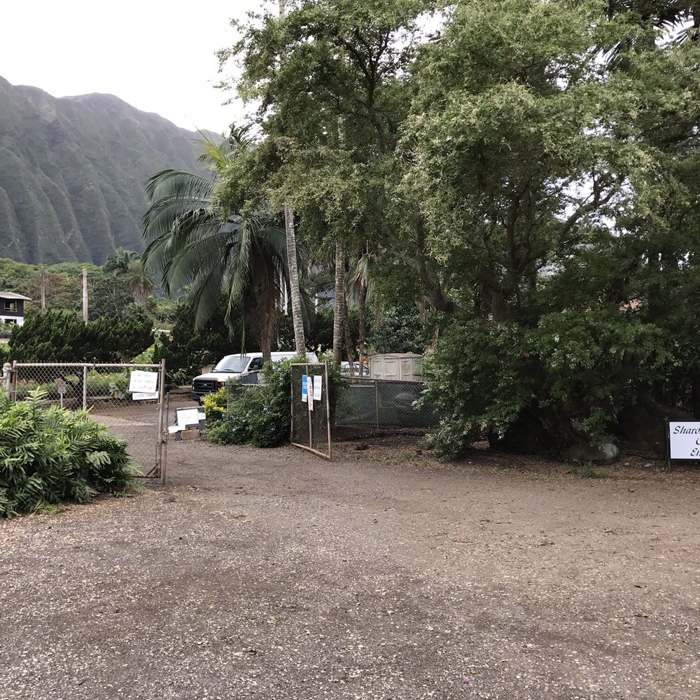 Sharon's Plants Ltd - Nurseries & Gardening Near Me - Waimanalo, Hawaii