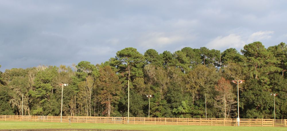 Phoenix Equine Ranch - equestrian in Palatka, FL