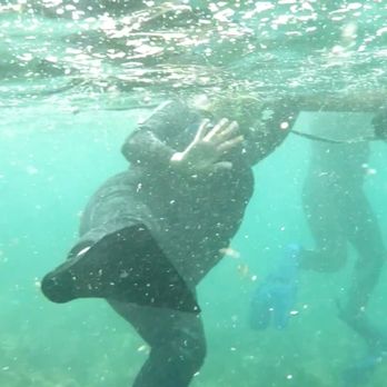 Snorkeling Catalina - Snorkeling Near Me - Avalon, California Snorkeling Catalina - Snorkeling Near Me - Avalon, California