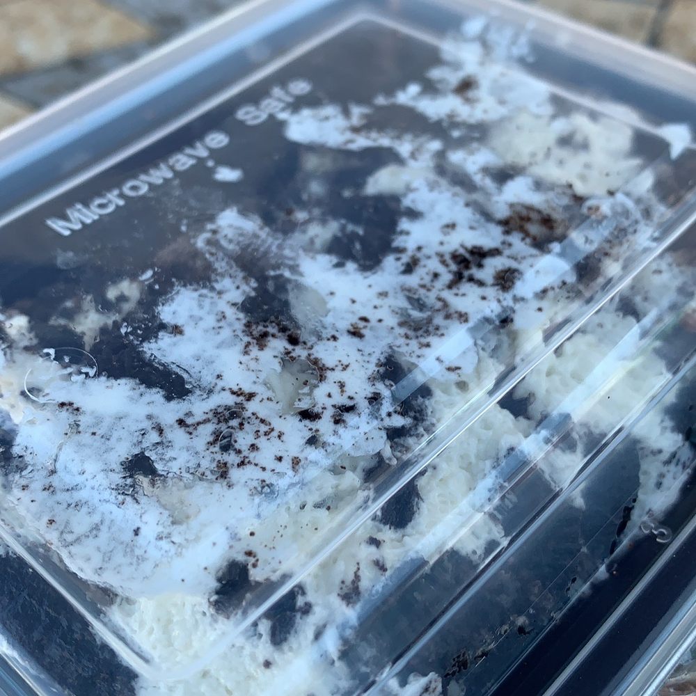 Quickie Too - Oreo brownie - Wraps Near Me - Tacoma, Washington Quickie Too - Oreo brownie - Wraps Near Me - Tacoma, Washington
