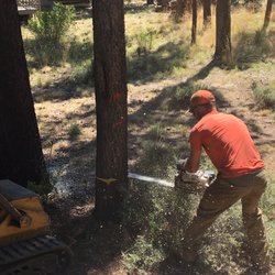 4 Brothers Tree Service - Great professionalism at 4 Brothers Tree Service!
