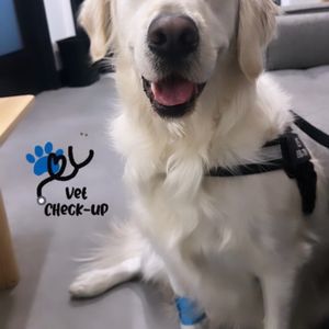 WILWYNN ANIMAL HOSPITAL - Updated September 2024 - 20 Reviews - 496