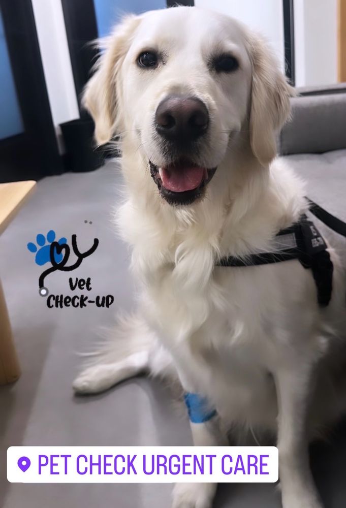 PET CHECK URGENT CARE Updated October 2024 31 Photos & 29 Reviews 253 Hurffville Cross