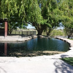 The Willows