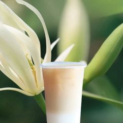 YiFang Taiwan Fruit Tea - White Champaca Oolong Milk Tea