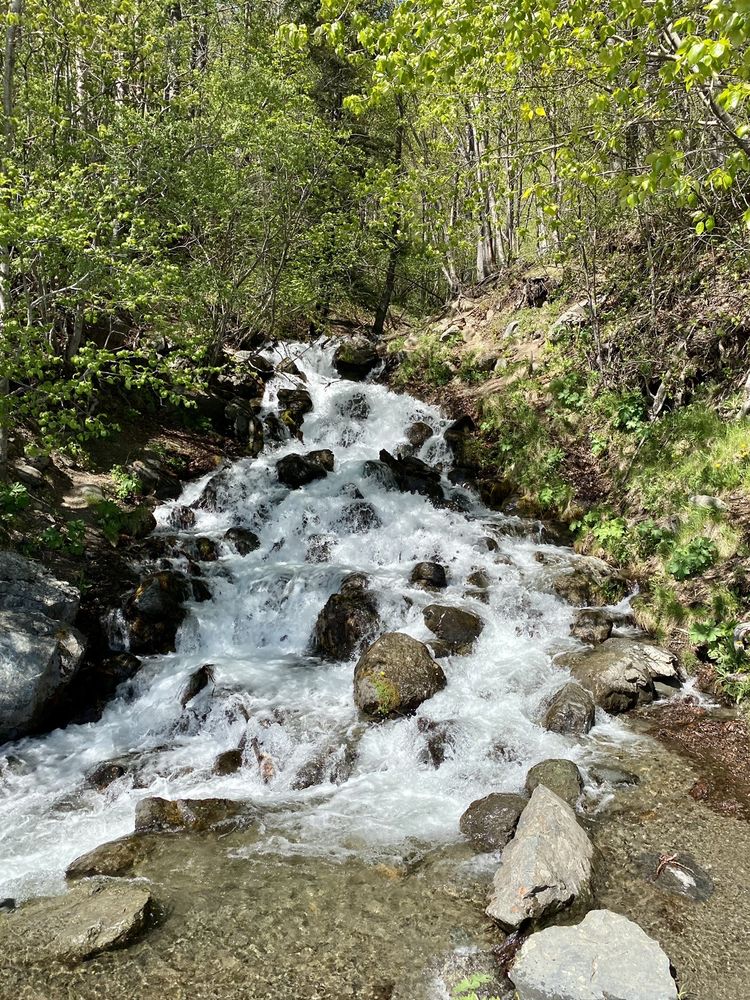 Falls Creek Trail Logo