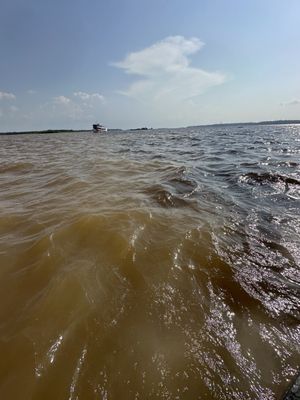 Meeting of Waters by null