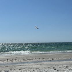 Indian Rocks Beach - Ocean view