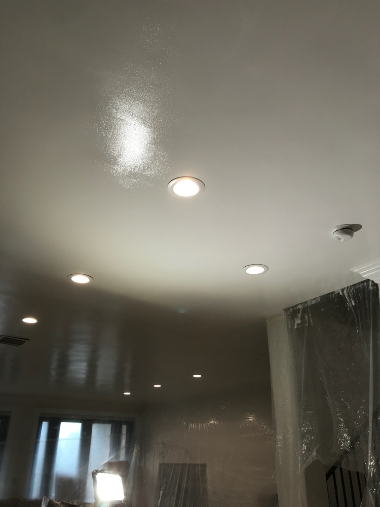 FIVE STAR POPCORN REMOVAL Updated August 2024 30 Photos Fort Lauderdale, Florida General