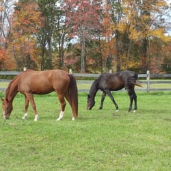 Eleazer Davis Farm - EDF