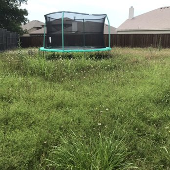 Wylie Lawn Boy - Before - Landscaping Near Me Wylie Lawn Boy - Before - Landscaping Near Me