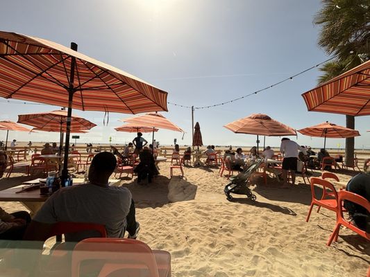 Back on the Beach Cafe by null