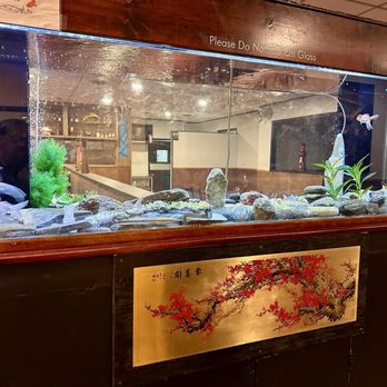 Szechuan Palace - Beautiful Fish Tank as you walk in - Chinese Near Me - Winston Salem, North Carolina Szechuan Palace - Beautiful Fish Tank as you walk in - Chinese Near Me - Winston Salem, North Carolina