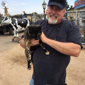 Main Street Collectors - PK and Millie the shop cat - Lighting Fixtures & Equipment Near Me - Hesperia, California Main Street Collectors - PK and Millie the shop cat - Lighting Fixtures & Equipment Near Me - Hesperia, California