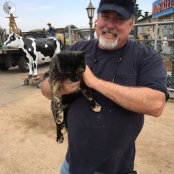 Main Street Collectors - PK and Millie the shop cat