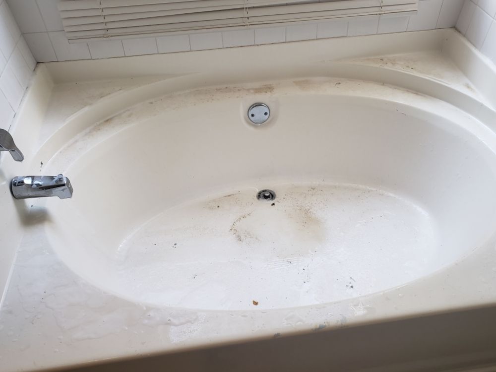 SOUTHERN CHARM CLEAN 4 U - Updated June 2024 - Request a Quote ...