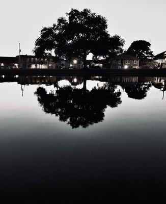 Bayou St John by null