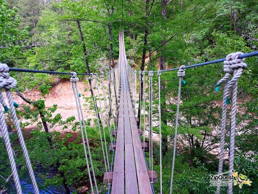 ZipQuest - Waterfall & Treetop Adventure by null