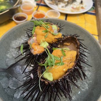 Holbox - Scallop uni ceviche - Latin American Near Me - Los Angeles, California Holbox - Scallop uni ceviche - Latin American Near Me - Los Angeles, California