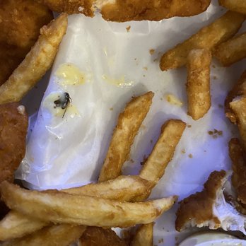 Mama Mia - Roach found floating in honey mustard sauce - Pizza Near Me - Alexandria, Virginia Mama Mia - Roach found floating in honey mustard sauce - Pizza Near Me - Alexandria, Virginia