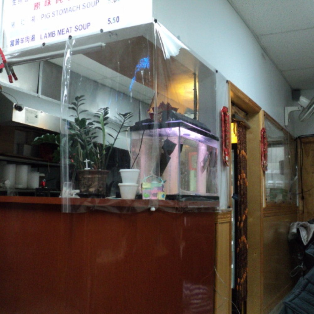 Hand Pull Noodle and Dumpling House - Chinese Near Me - Brooklyn, New York Hand Pull Noodle and Dumpling House - Chinese Near Me - Brooklyn, New York