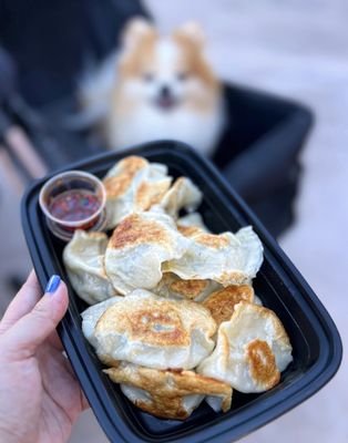 Yuanbao Jiaozi by null