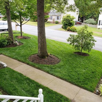 Green House Landscaping - Lawn care - Landscaping Near Me
