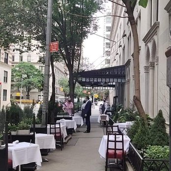 Daniel - French Near Me - New York, New York