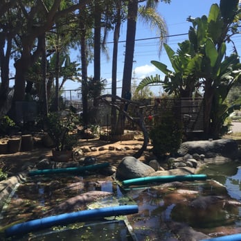 Free Flight - Animal Shelters Near Me - Del Mar, California Free Flight - Animal Shelters Near Me - Del Mar, California