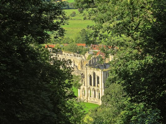 Rievaulx Abbey by null