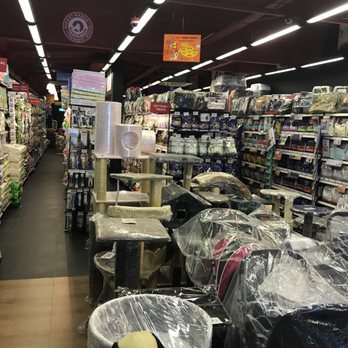 siglap pet lovers centre