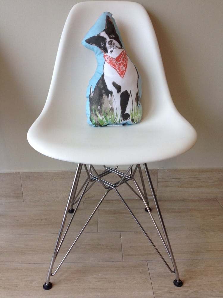 YORK MILLS ANIMAL HOSPITAL Updated September 2024 14 Photos 300