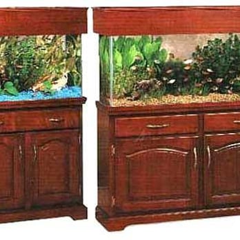 Aquatic Interiors Seacave - Many types of tanks to suit your tastes! - Local Fish Stores Near Me - Akron, Ohio Aquatic Interiors Seacave - Many types of tanks to suit your tastes! - Local Fish Stores Near Me - Akron, Ohio