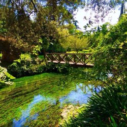 Giardini di Ninfa - In a green world..