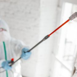Solution One Inspectors