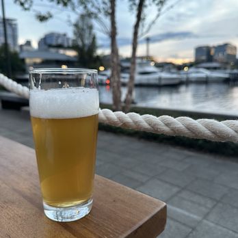 The Cove - Wine Bars Near Me - Seattle, Washington